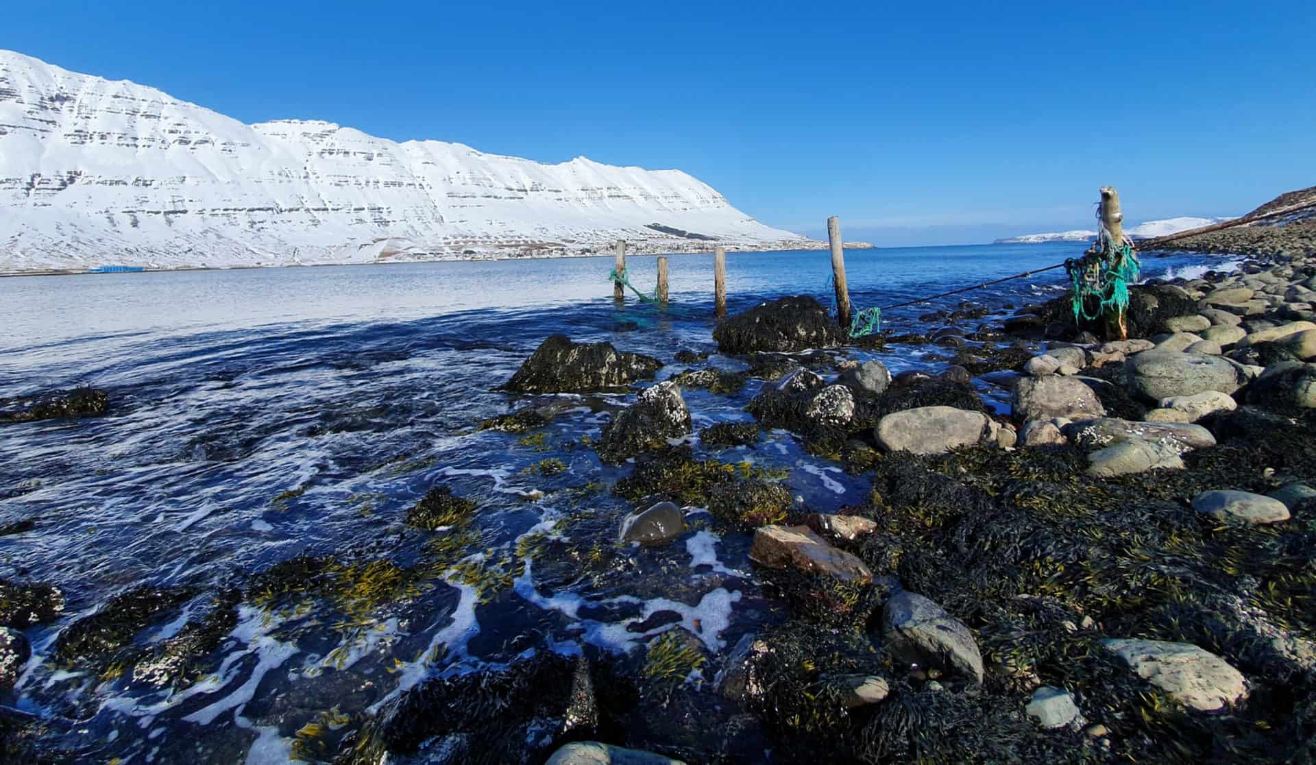 Rocky shore and old posts with snowy mountains across the water